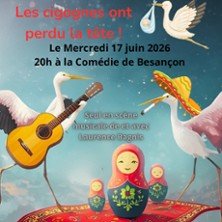 Les Cigognes Ont Perdu la Tête