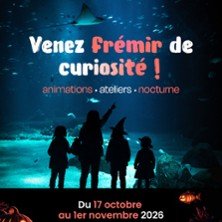 Nausicaá - Centre National de la Mer - Saison 2026