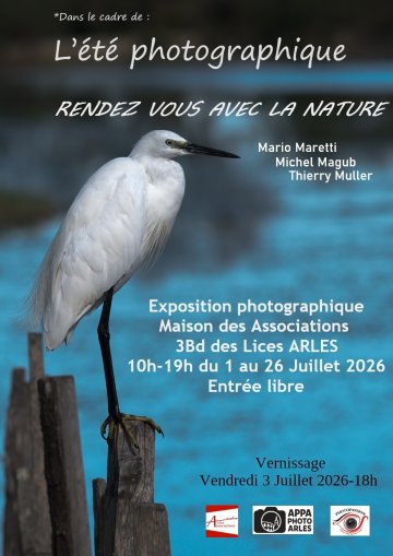 L'été photographique