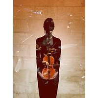Un cirque a l'orchestre