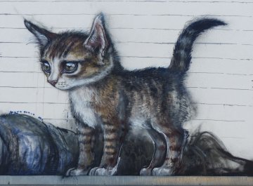 Exposition intitulée "Chat, chat, chats !" à Laon
