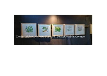 Conférence : dénomination et usage des plantes, transmission d'un savoir en langue occitane