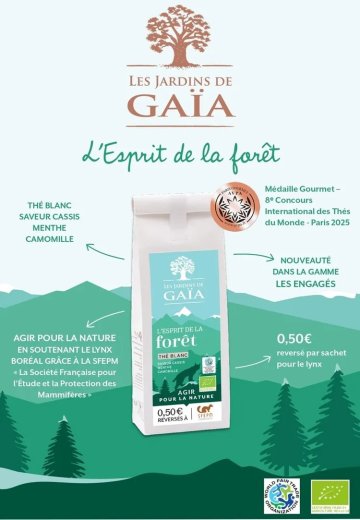 Dégustation du thé du Lynx L'Esprit de la Forêt Thé Blanc-Cassis-Menthe-Camomille