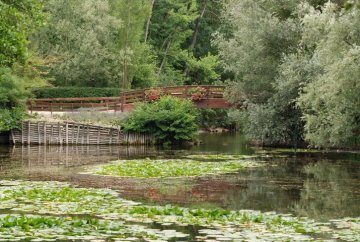 Promenez-vous dans le patrimoine naturel du parc Pierre Pitois