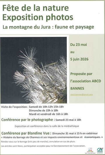 Convention - Japan Paradise Langres #3