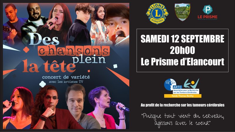 DES CHANSONS PLEIN LA TETE