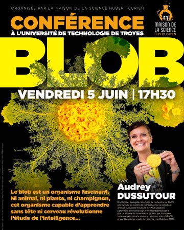 Conférence - Le Blob