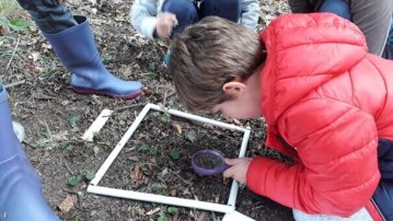 Explorateurs et exploratrices de la biodiversité - Avec les petits débrouillards