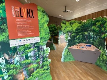 Exposition interactive "Apprendre à vivre avec le lynx"