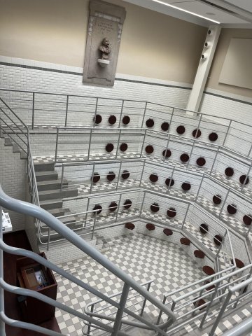 Le domaine Rockefeller : une belle histoire de la santé à Lyon