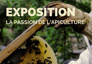 EXPOSITION : NUMA BASTIDE 2026 – LA PASSION DE L'APICULTURE