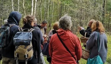 Balade au royaume des champignons