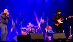 Concert -  Hamardy