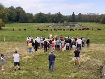 Les journées du patrimoine à Pinon