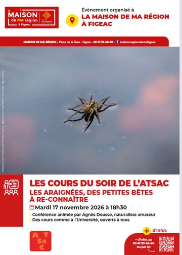 Maison de la région à Figeac, "les araignées, des petites bêtes á reconnaître"