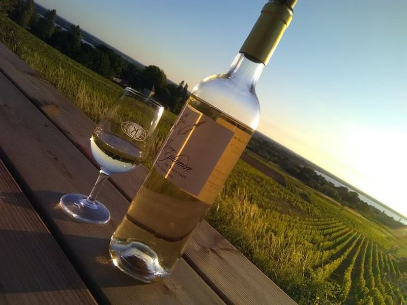Wine and Sunset au Château Saincrit
