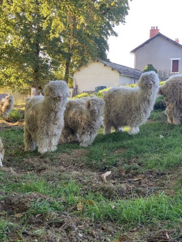 Animations à la ferme pédagogique du domaine D'Hestia