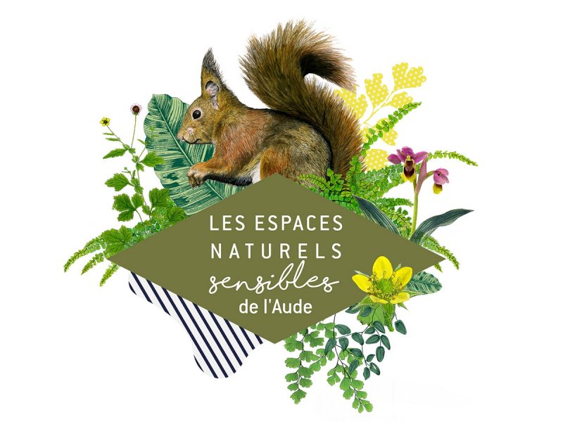 ENS - UN PEU D'ASTRONOMIE NE NUIT PAS !
