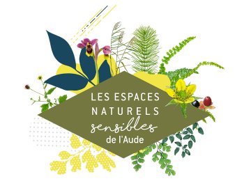 ENS - CANNE DE PROVENCE, UTILE OU INVASIVE ?