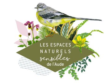 ENS - PETITE REINE POUR GRANDS ESPACES !