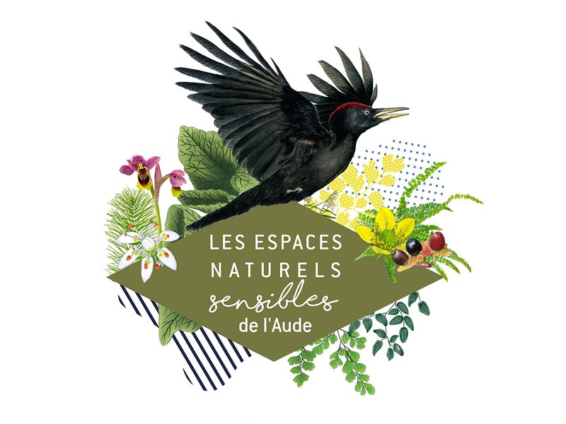 ENS - À L'ÉCOUTE DES ANIMAUX DE LA NUIT