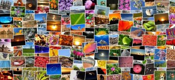 Expo photos en plein air