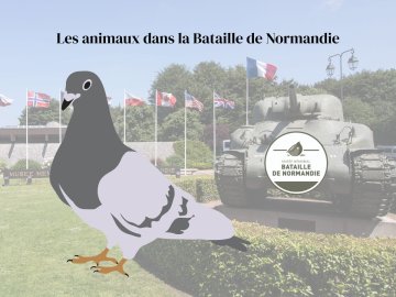 Vacances d'automne au musée