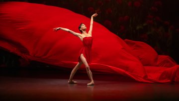 Le Temps d'Aimer la Danse - Lucia Lacarra Ballet - Lost Letters