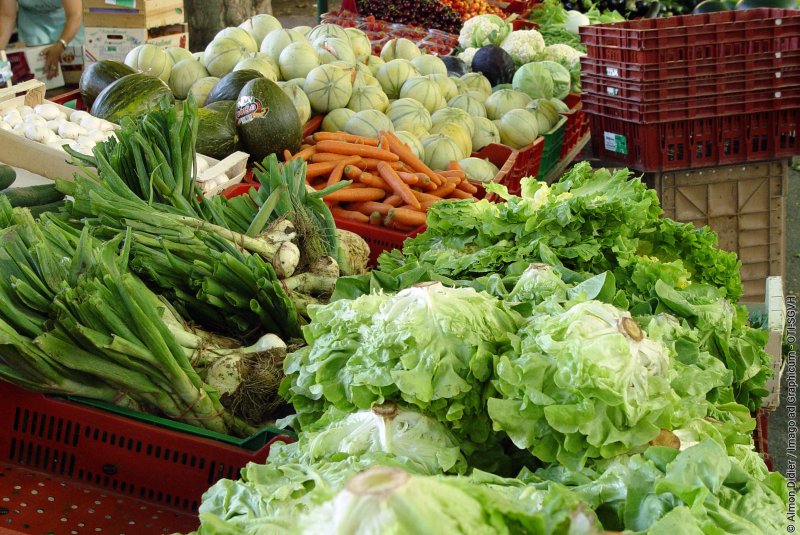 MARCHÉ DE MONTPEYROUX