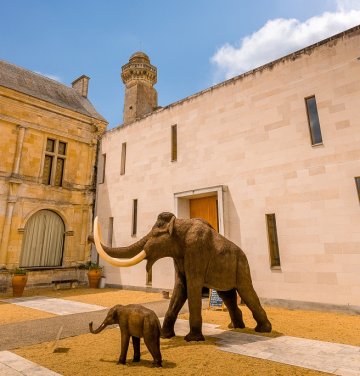 Journées Européennes du Patrimoine au Musée de la Préhistoire