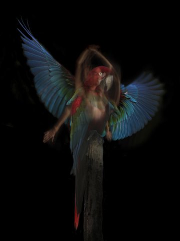 Exposition de photographies de Sandie Louit