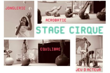Stage de cirque