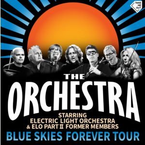 THE ORCHESTRA