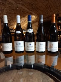 Test sensoriel autour des grands blancs...