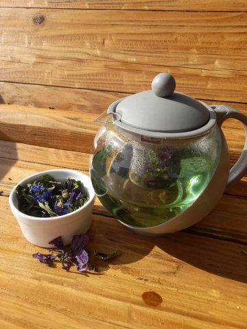 Atelier : créer son infusion