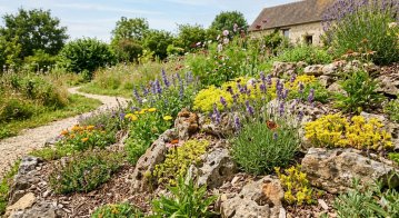 [Atelier] créez une rocaille pour pollinisateurs