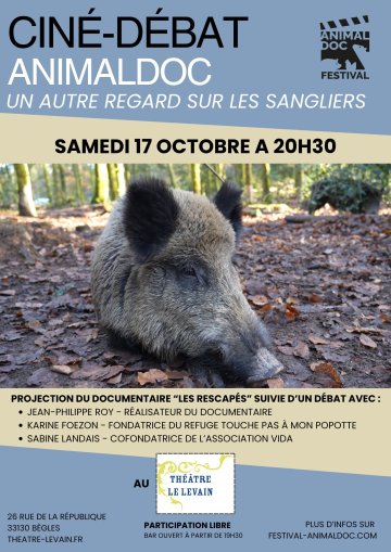 CINÉ-DÉBAT : Un autre regard sur les sangliers