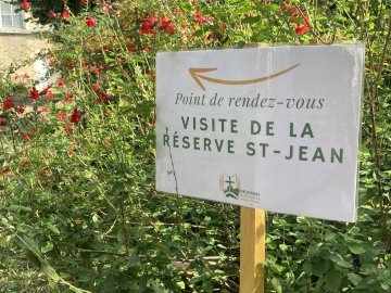 Visite guidée de la réserve Saint-Jean : les Dictionnaires