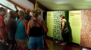 visite guidée gourmande