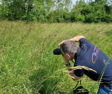 Photographie animalière aux Pâtis du Mesnil