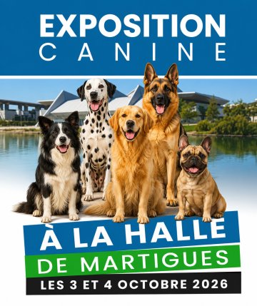 EXPOSITION CANINE