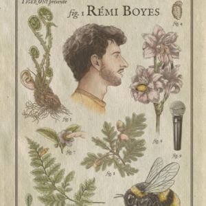 REMI BOYES