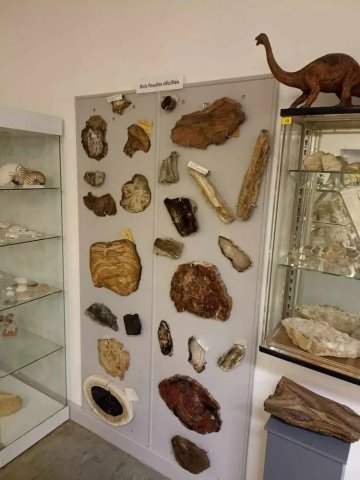 Découvrez les secrets géologiques de notre Terre