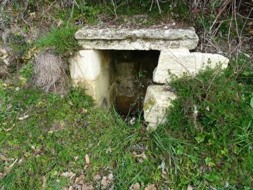 Exposition : "De la pierre à la feuille, un patrimoine disparu ou en danger de disparition"