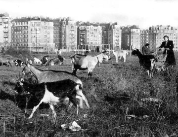 Visite de la Porte Montmartre