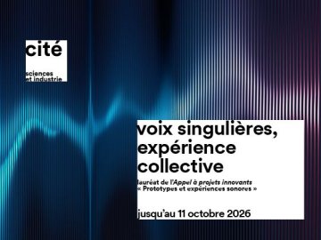 Voix singulières, expérience collective