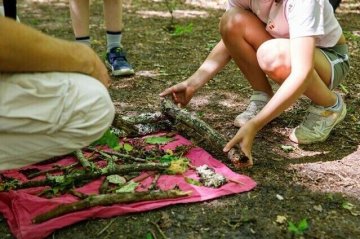 Détectives naturalistes