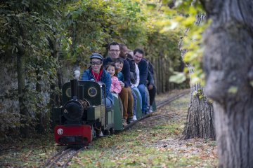 Balade en train de jardin à vapeur