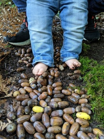 Eveil sensoriel à la nature pour les tout-petits