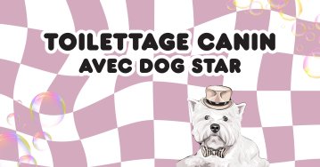 - Toilettage canin -